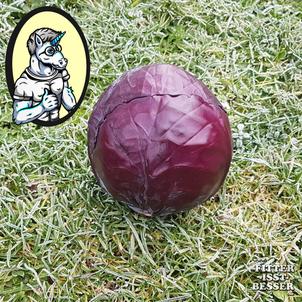 Rotkohl Fakten – Wissenswertes und Inhaltsstoffe (Blaukraut / Rotkraut ...