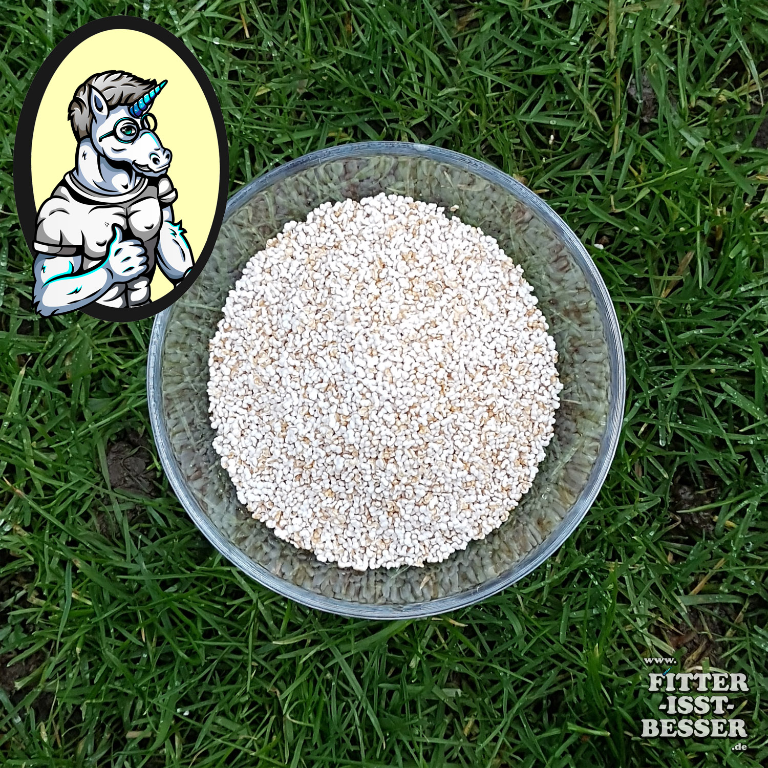 Amarant Amaranth Fakten – Wissenswertes und Inhaltsstoffe